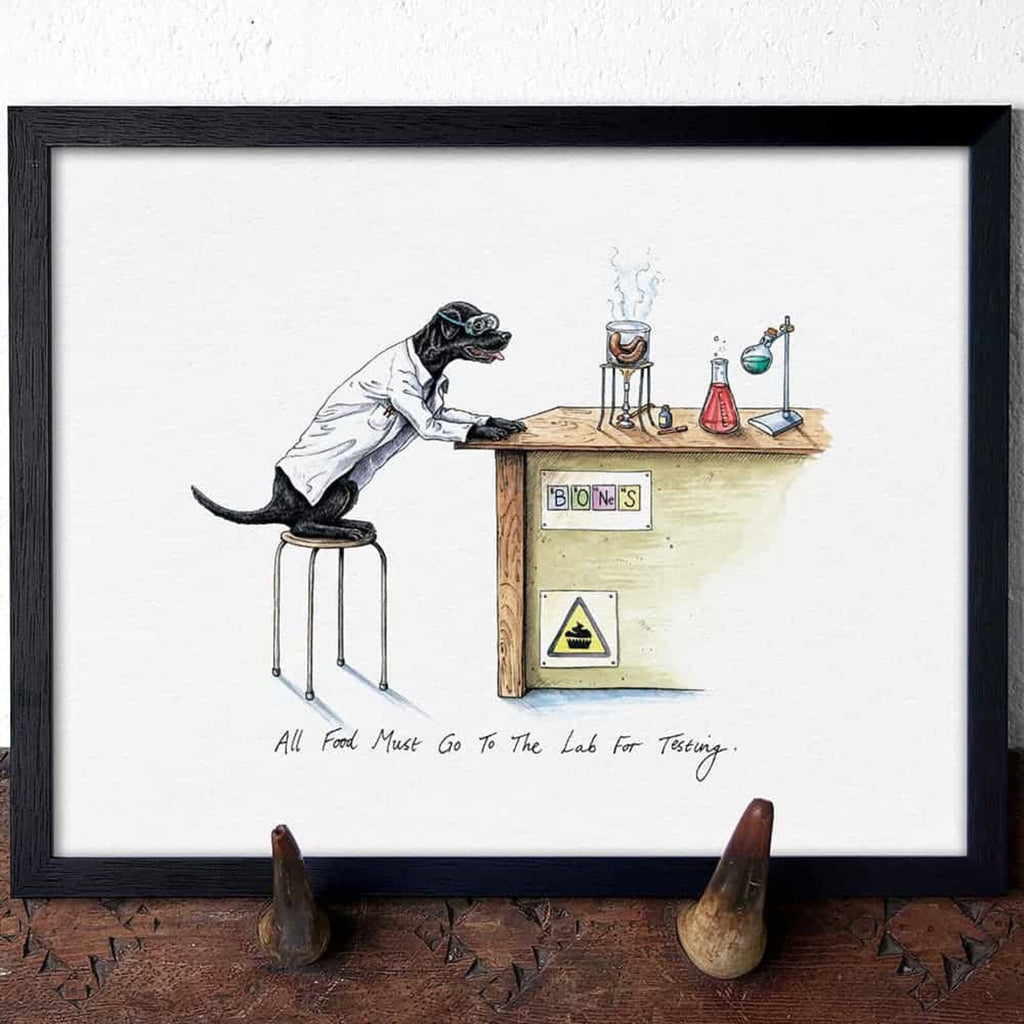 Lab Print Picture Lab Testing Print - Black Labrador Print – Bewilderbeest