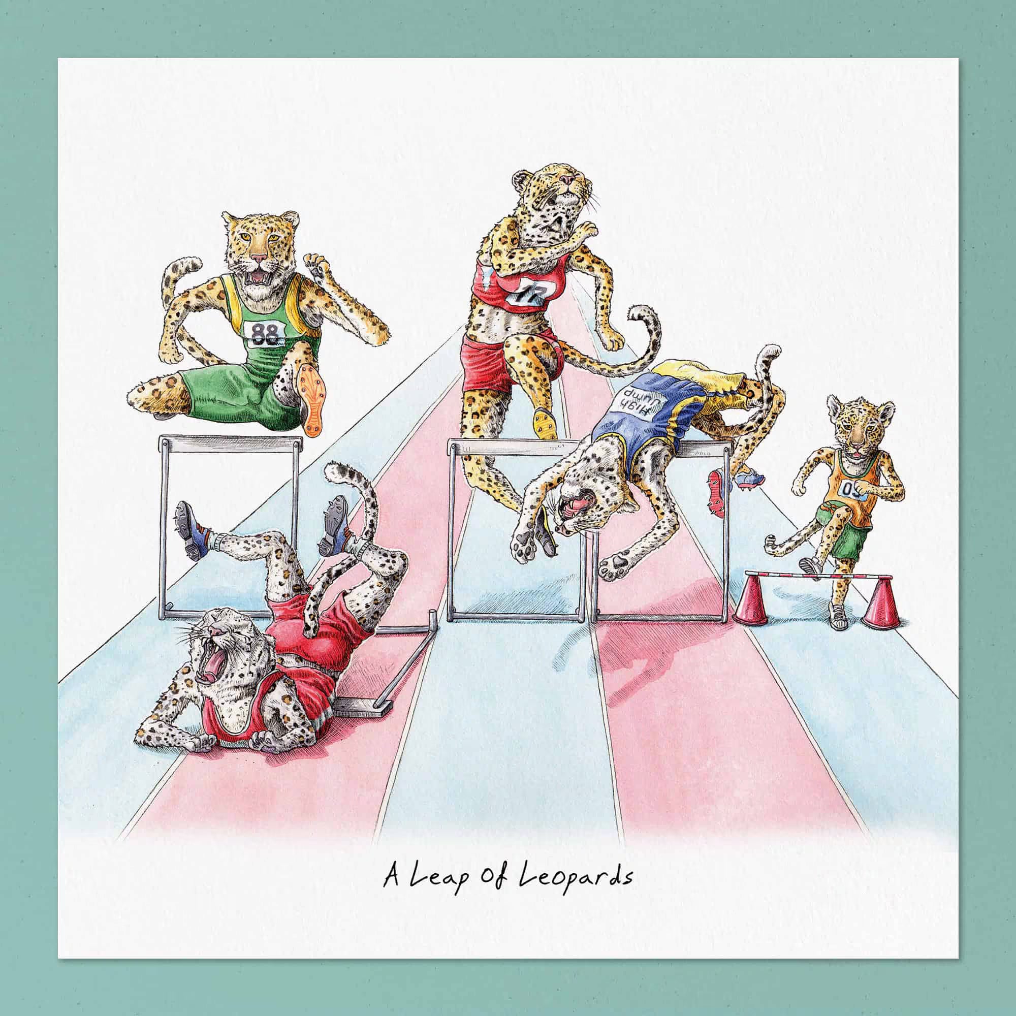 A Leap of Leopards!