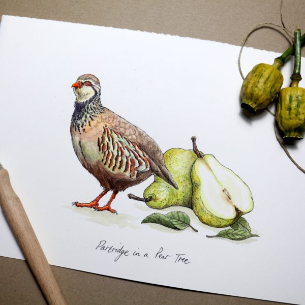 Partridge in a Pear Tree Print