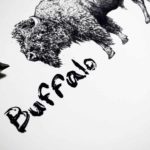 Black and white text reading “Buffalo” beside a highly detailed back and white drawing of a buffalo’s head