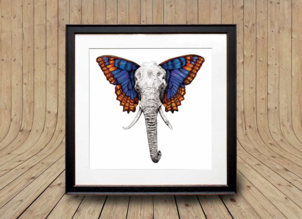 Print of an elephant with colourful butterfly wings in a black frame on a wooden background