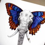 Print of a highly detailed black and white elephant face and trunk with brightly coloured butterfly wings as ears