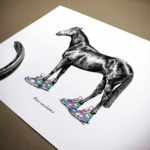 Black and white drawing of a horse wearing bright coloured trainers above text reading “Horseshoes” on a white background