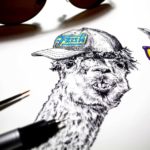 Black and white drawing of two llamas heads wearing a cap with the text “fresh” and purple and yellow sunglasses