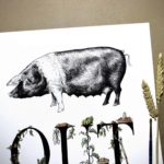 Print of a saddleback pig above bold black lettering decorated with vegetables growing around and beside the letters