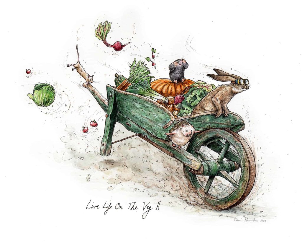 An original painting of a green wheelbarrow careering down a hill full of animals and vegetables on a white background