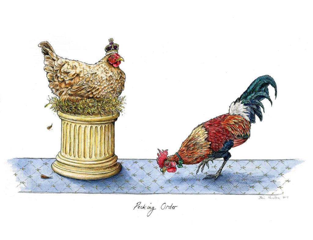 An original picture of a hen wearing a crown looking down on the other hen who is pecking at the blue carpet on a white background