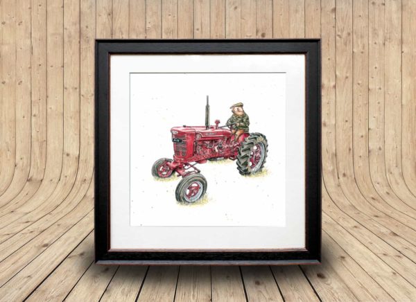 Print of a red vintage Massey Ferguson tractor being driven by a pig wearing a flat cap and a coat in a black frame