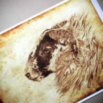 Print of a sheep’s head on an aged textured background
