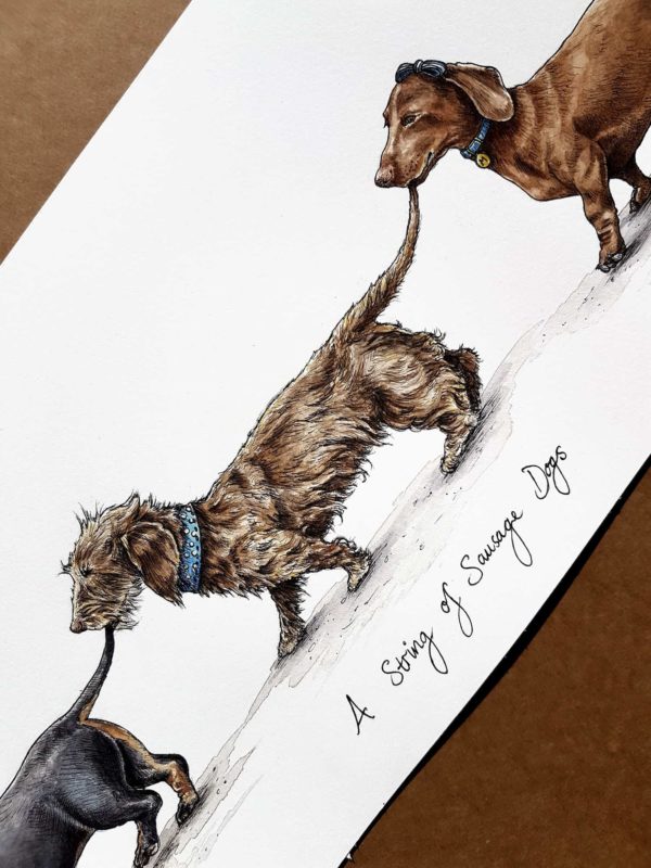 Painting of three dachshunds holding each other’s tails walking in a line above text reading “A String of Sausage Dogs”