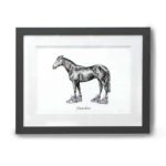 Original pen and ink illustration of a horse wearing bright coloured trainers in a grey frame on a white wall