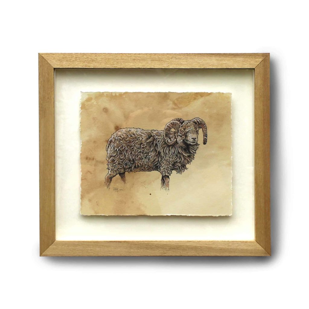 Original pen and ink drawing of a float mounted sheep in a wooden frame sitting on a white background