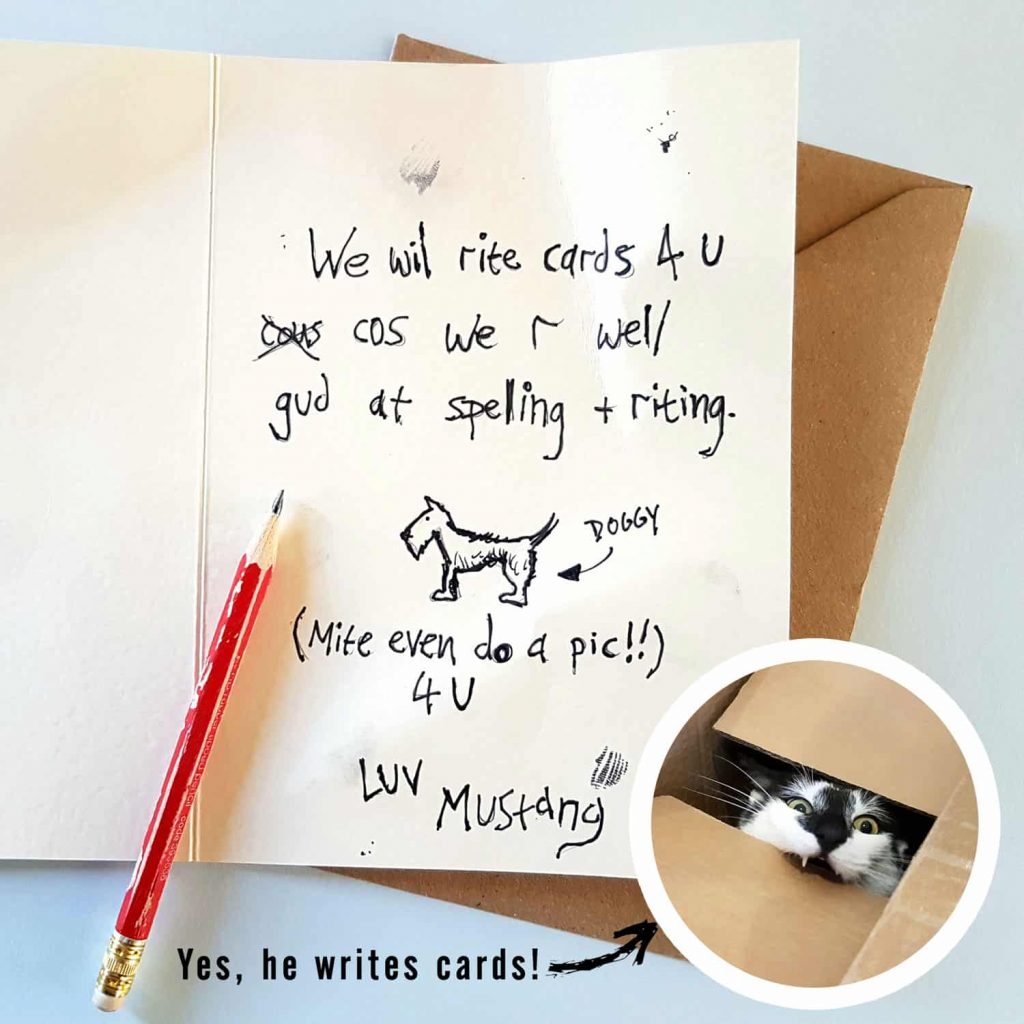 New Card Writing Service Bewilderbeest