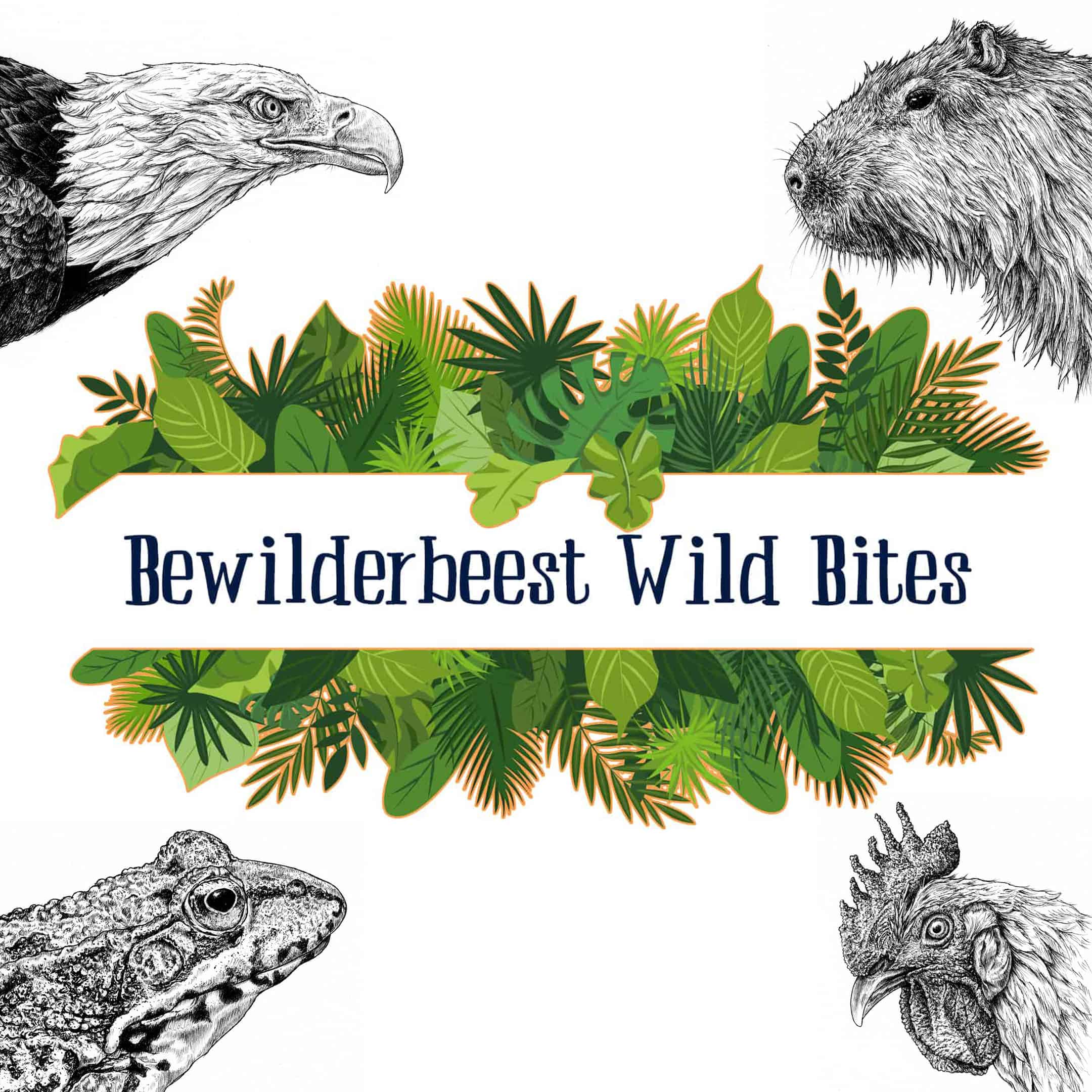 Bewilderbeest Wild Bites Launches