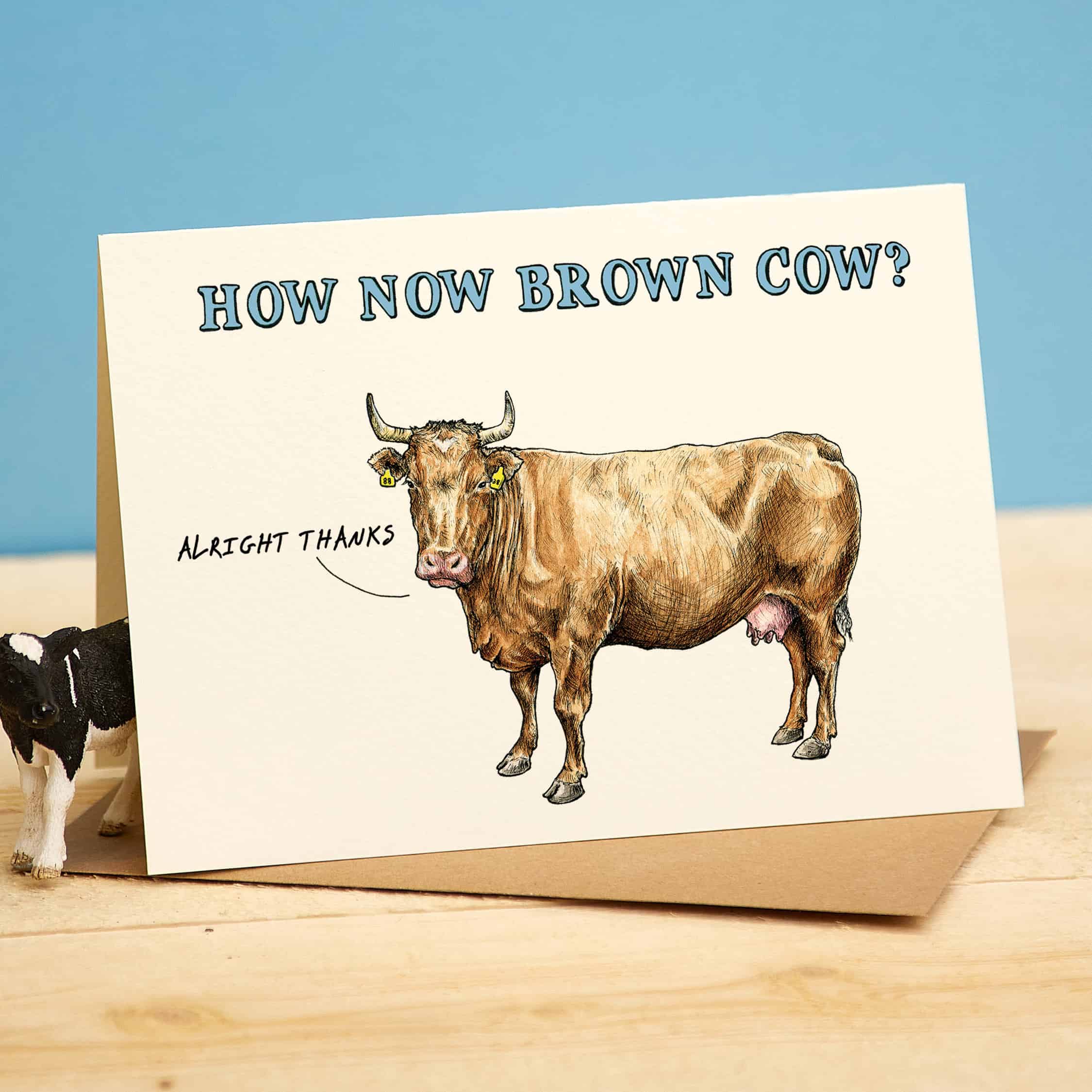 How Now Brown Cow Card Funny Cow Card Bewilderbeest