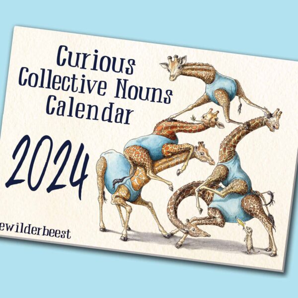 Curious Collective Nouns Calendar 2024