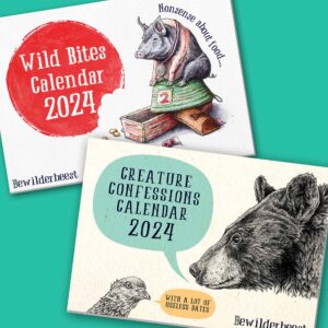2024 Calendars Pack
