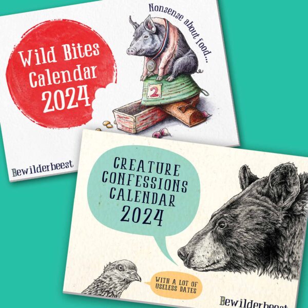 2024 Calendars Pack